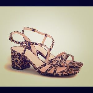 J Crew Odette strappy sandals in Leopard Suede